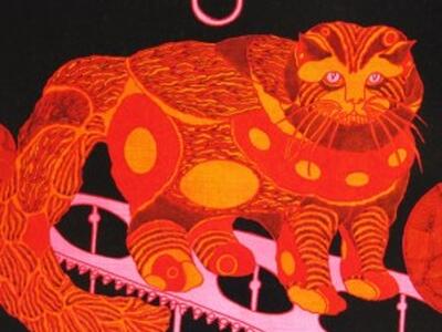 Il pittore Mauro Cristofani. I suoi gatti sono unici al mondo