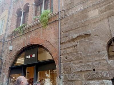 Luminara più suggestiva con nuovi telai aderenti all'architettura degli edifici e nuovi lumini a led con luce più calda