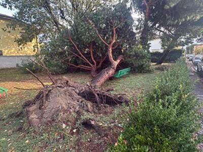 Maltempo a Viareggio: danni a edifici, strutture sportive e alberi. Inagibile l'asilo Coriandolo, chiuso viale dei Tigli