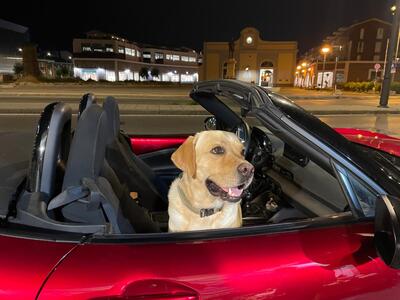 Un'estate al volante di una Mazda MX-5, la spider più venduta, più famosa, più grintosa e divertente che c'è. Anche per Leone, il barone rosso