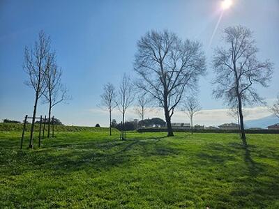 Doppia inaugurazione sulle Mura e al Parco Fluviale: alberi e pannelli per la città
