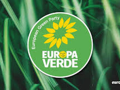 Nuovi tagli di alberi in città, Europa Verde: “Completa noncuranza nella gestione del verde pubblico”