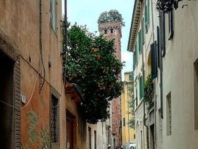 Le Chiavi d’Oro contro le truffe agli anziani