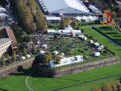 Scuole chiuse in tutto il comune di Lucca durante i giorni dei Comics