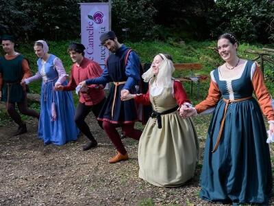 Ultimo week-end per la mostra Antiche camelie della Lucchesia