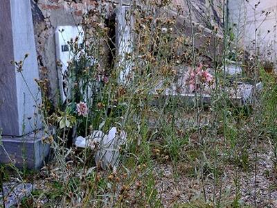 Cimitero di Sant'Andrea di Compito, Petrini, Moschini, Vaselli e Triggiani (FdI): "Situazione indecorosa e inaccettabile. Presenteremo un'interrogazione urgente"