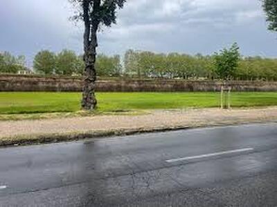 L'erba... di Bianucci ancora contro il Summer Festival: ma come si fa a votare a Sinistra? Nemmeno morti!"