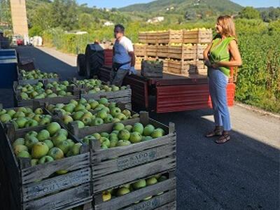 Celle frigorifere per i produttori agricoli, sopralluogo dell'assessore Granucci alla cooperativa L'Unitaria: realizzati i nuovi spazi e attivo l'affidamento del Comune