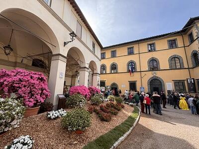 Mostra Mercato dell'Azalea 2026: al via le candidature degli espositori