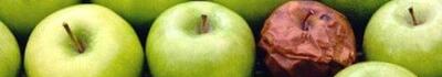 Sono solo mele marce?