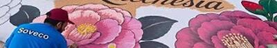 Infiorata si, ma de che? Critiche ad un record che non ha senso e non serve a niente