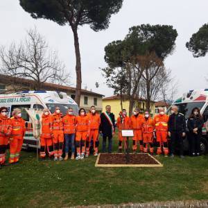 Fornaciari e i sanitari