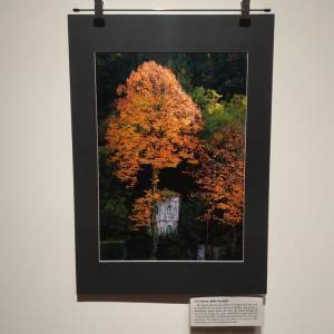 275502295_689750285405741_5132658340687013288_n