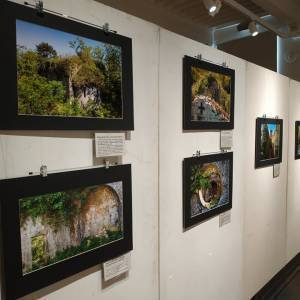 275773329_952353652319289_7057824842619574448_n