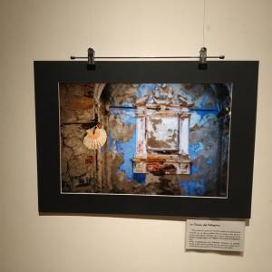 275782595_452360956648005_6900457637748700379_n