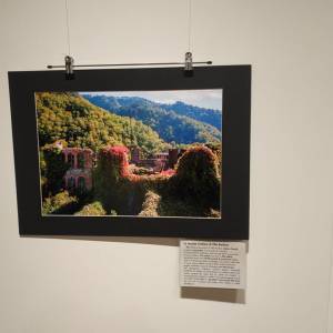 275785080_359010379440143_6019436777606680737_n