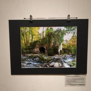 275785458_1001809077114246_2928055502218075141_n