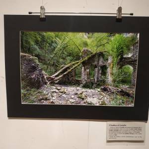 275821956_366312205501219_7525176726830770472_n