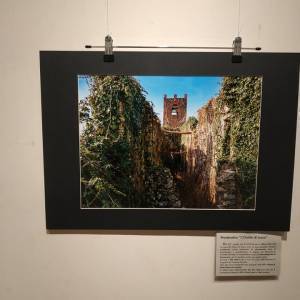 275892302_963260607708950_6749278519334066220_n