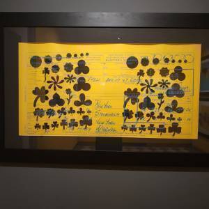 275908637_3177407742538396_118048587736210810_n