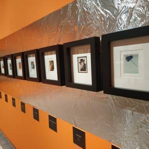 275931054_1349289185582480_2593753274782224258_n