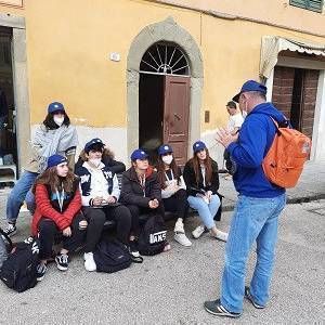 1c238b33-49fe-4c01-95d8-1821d428e9e0