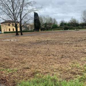 via delle viette_dopo_3