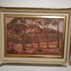 278393493_675118617090286_8096389457641502403_n