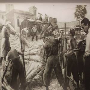 278459606_726380025185950_5387916143964419196_n