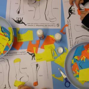 Lucca Bimbi - Lab Dinosauri 2