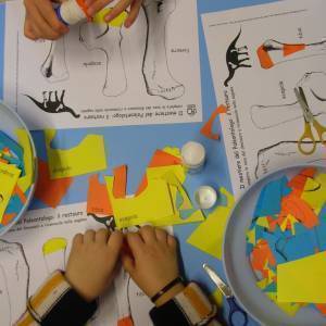 Lucca Bimbi - Lab Dinosauri 3