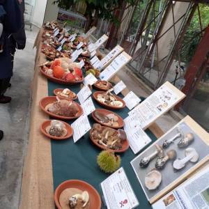 una delle mostre organizzate