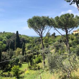 34eef20f-dc2a-4a1f-9814-eadde99fb151