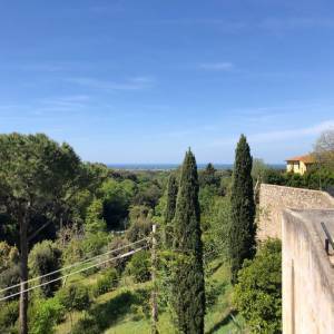 5038d916-d5e5-45ae-bb47-d1d0414604fa