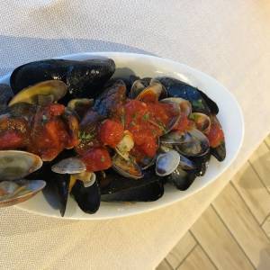 51101504-a759-48d0-81e1-a339bc774042