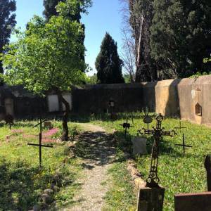 5dd5bfed-842d-4db6-8ac0-abf8ba2ca7ab