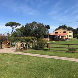 5eaa44c7-7017-45c8-8090-5152d7fb66ad