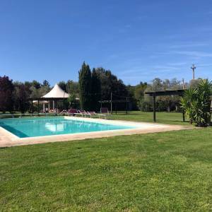 61dbd421-9fdb-4e82-a613-ab1d6f8c8df3