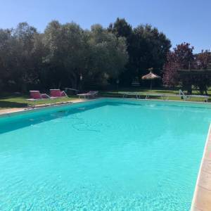 875979d9-5d60-443a-9652-44b3298048f0