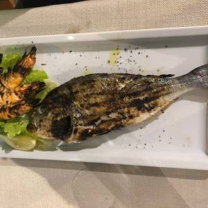 9d389a5c-0e30-4747-a1da-5ffd18843487