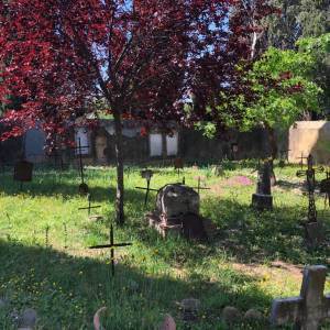 bb0a966a-af54-4e4e-b86c-383004680410