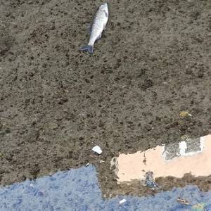 9d2b9950-69e3-4da0-814f-9a68adc0b64f