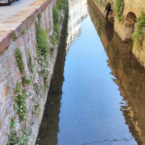 9e437b84-2097-405e-af1d-5d811c479192