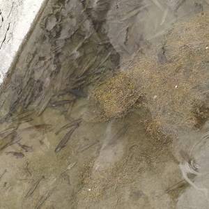 bd44a65d-127c-49f1-b8bf-78d587dfdfb4