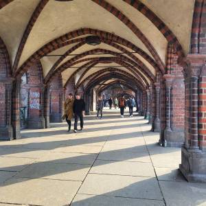 51b1e596-25ce-4eba-811b-be26beaf768e