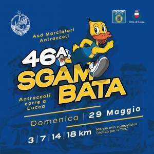 instagram_facebook_46-sgambata_1080x1080-01