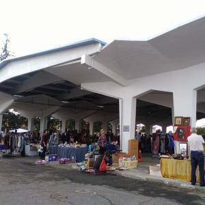 14469682_975424275901707_4470038698533103770_n