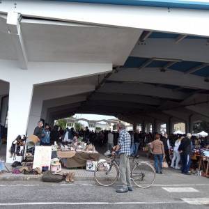 191090239_3750492075061566_8699801021076515248_n