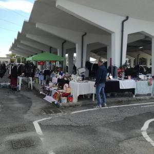 71488015_2286626674781454_7264479170166521856_n