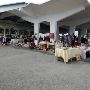 71573254_2286626328114822_3320606466859073536_n